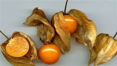 فوائد الحرنكش لصحة قلبك وتنظيم سكر الدم