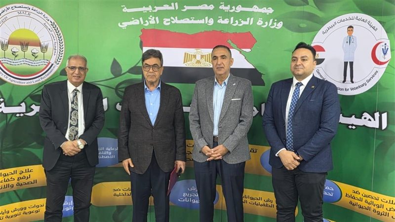 بروتكول تعاون بين