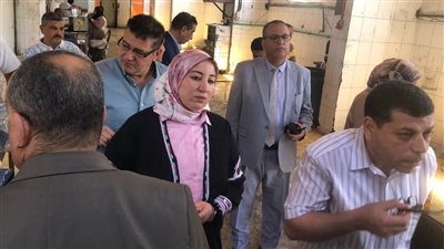 ضبط 12 طنًا و375 كجم من اللحوم ومصنعاتها غير صالحة للاستهلاك بالدقهلية