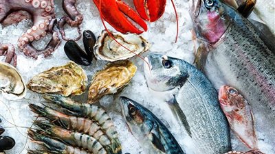 أسعار السمك، انخفاض 5 أصناف منهم البلطي وارتفاع المكرونة 5 جنيهات