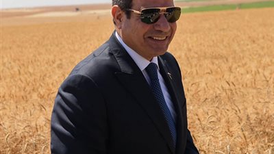 تزامنا مع موسم الحصاد، 15 معلومة عن مشروع مستقبل مصر للإنتاج الزراعي