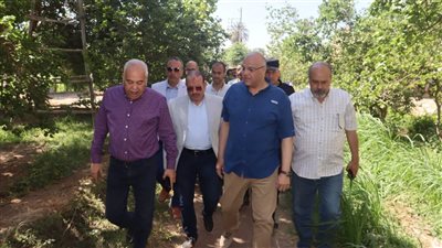 محافظ القليوبية يتفقد مزارع المشمش بقرية العمار بطوخ