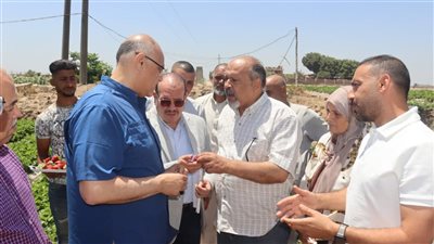 محافظ القليوبية يتفقد إحدى مزارع الفراولة التي تستخدم أحدث طُرق الزراعة الحديثة بطوخ