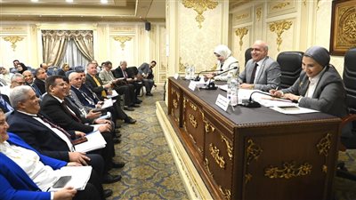 أمين المجمع يكشف إعداد تشريع لحماية اللغة العربية، وهذه توصيات دعم الموازنة