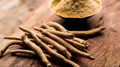 فوائد الأشواجندا، تحمى من العدوى وتقلل التوتر 
