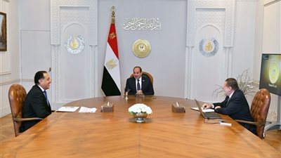 تفاصيل اجتماع السيسي مع رئيس الحكومة ومحافظ البنك المركزي (فيديو)