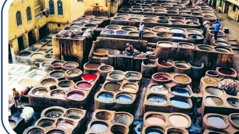 مجال دباغة الجلود