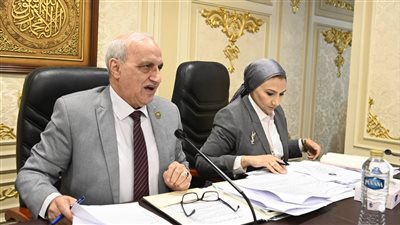 اجتماع تعليم النواب، تعرف على مطالب مكتبة الإسكندرية في الموازنة الجديدة 