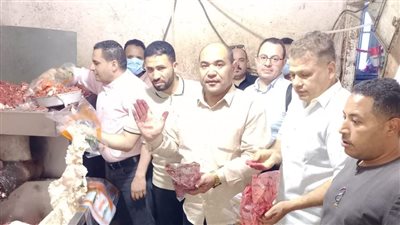 التحفظ على 3 أطنان مصنعات لحوم ودهون حيوانية غير صالحة بالجيزة 