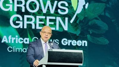 رئيس الرقابة المالية: مواجهة تغيرات المناخ تحتاج لتكاتف جميع مؤسسات الدولة