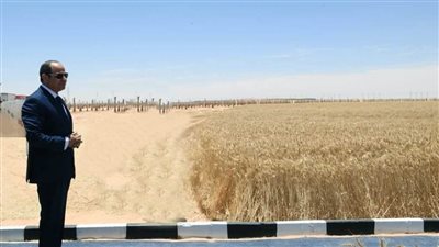  اليوم، السيسي يشهد موسم حصاد القمح ويتفقد مدينة مستقبل مصر الصناعية