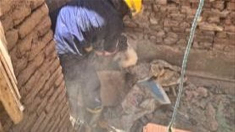 إنقاذ قطتين محتجزتين