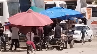 بعد الامتحان، تجمع طلاب وطالبات صفوف النقل بالإسكندرية على عربات الفول (صور)