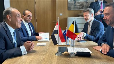 وزير الخارجية يطلع نظيره البلجيكي على محفزات الاستثمار في السوق المصري (صور) 