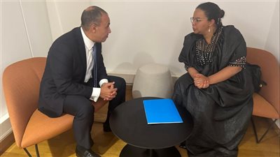 مصر تعلن تمسكها بإعمال القانون الدولي في حوكمة نهر النيل