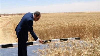 تفاصيل افتتاح السيسي المرحلة الأولى من مدينة مستقبل مصر الصناعية وموسم الحصاد 