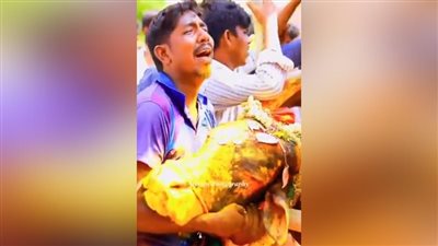 بالصراخ والبكاء الشديد، الهنود يودعون بقرتهم المقدسة بالورود والطبول (فيديو)