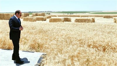 11 صورة ترصد افتتاح وتفقد السيسي مدينة مستقبل مصر الصناعية وموسم الحصاد 