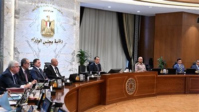 مدبولي: الرئيس وجه بتوظيف أراضي الصعيد لصالح مشروعات إنتاجية ضخمة