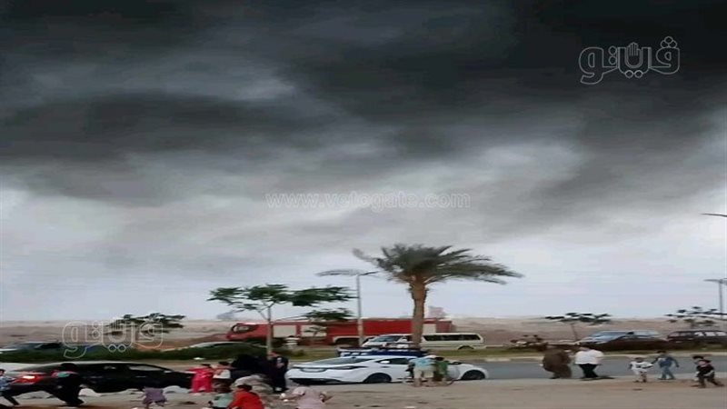 حريق محافظة الشرقية،فيتو