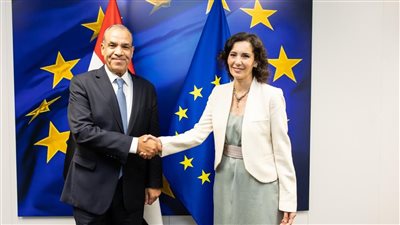 وزير الخارجية: يجب وقف إطلاق النار بغزة فورا ونفاذ المساعدات الإنسانية 