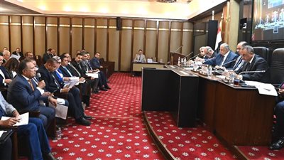 6 ملايين شخص زيادة بقاعدة بيانات الناخبين، القصبي: تعديل قوانين الانتخابات تراعي التجاوز الجغرافي