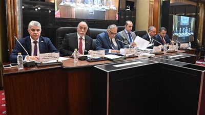 تشريعية النواب توافق مبدئيًّا على تعديل قوانين الانتخابات 