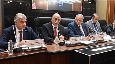 نائب التجمع يقترح تعديلا دستوريا، والحكومة ترد 