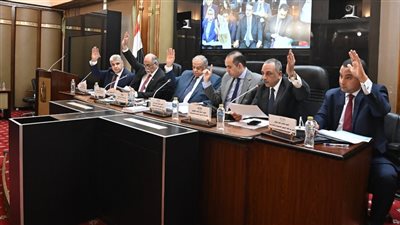 برلماني يثير الخلاف بمناقشة تعديل قانون انتخاب مجلس النواب، تعرف على التفاصيل