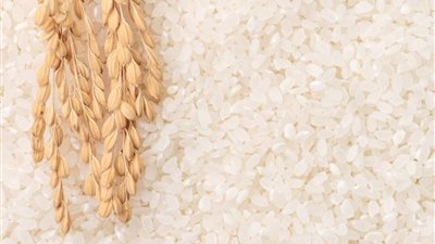 سعر الأرز اليوم الخميس 22 مايو 2025 في الأسواق