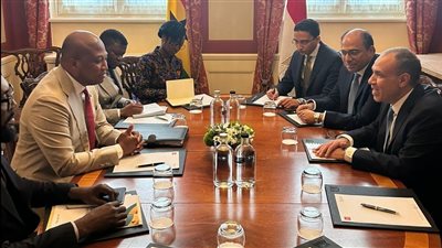 وزير الخارجية: مستعدون دائما لمساندة الأشقاء الأفارقة في جهود التصدي للإرهاب