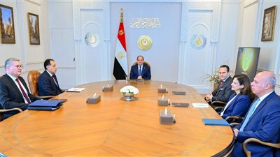 5 رسائل هامة من السيسي لرئيس شركة شل العالمية