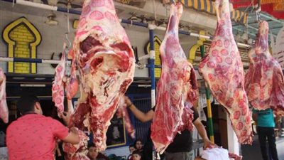 طوارئ بالمستشفيات وفتح المجازر مجانًا، الشرقية تستنفر كامل أجهزتها قبل ساعات من عيد الأضحى