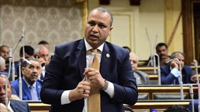 محمد طلبة أمينا للجبهة الوطنية في الإسماعيلية وعمرو عارف أمينا مساعدا بأمانة الزراعة