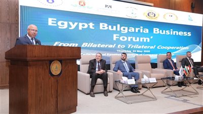 وزير الصناعة: نستهدف تحويل مصر إلى مركز صناعي إقليمي رائد