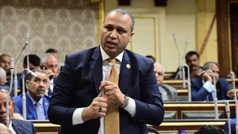 النائب محمد السيد