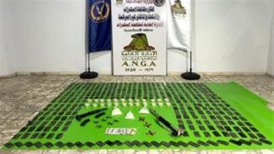 مصرع 4 عناصر إجرامية وضبط كميات من المخدرات والأسلحة بالإسكندرية وأسوان