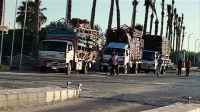 حملة مكبرة برأس البر لمنع دخول الدراجات غير المرخصة وعربات الباعة الجائلين