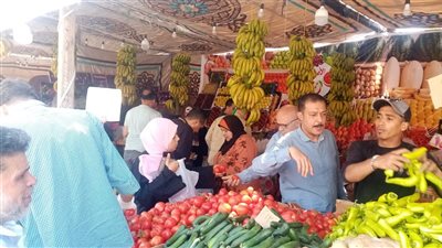 أسعار الأسماك من 40 حتى 100 جنيه، استمرار أسواق اليوم الواحد في الدقهلية