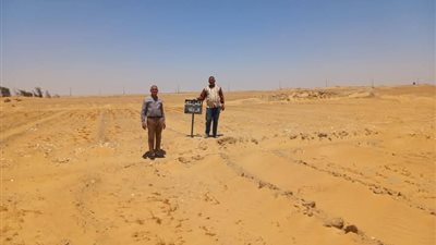 استرداد 87 فدانا من أملاك الدولة بواحة الخارجة بالوادي الجديد 