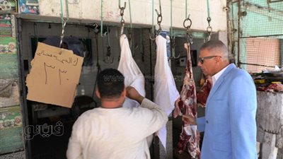 جولة لمحافظ أسوان على محلات الجزارة والمخابز البلدية بكوم أمبو (صور)