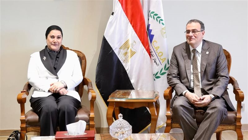 الجهاز المركزي للتنظيم