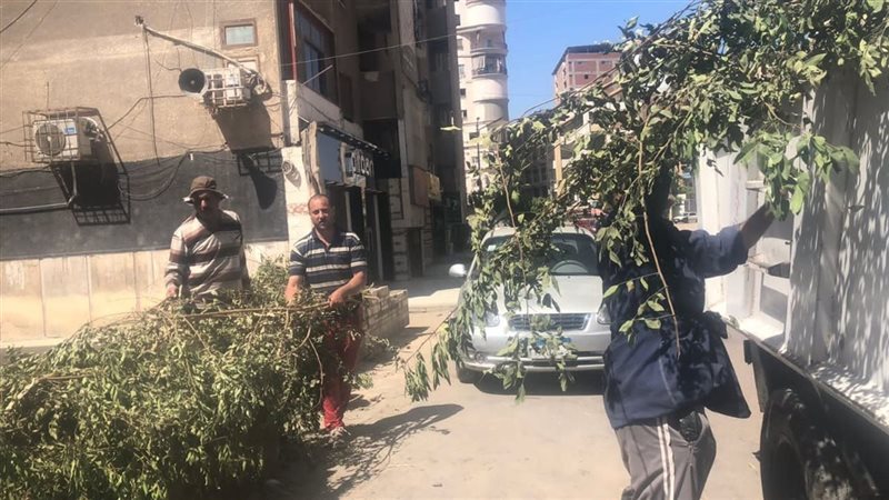 حملات نظافة بالدقهلية،