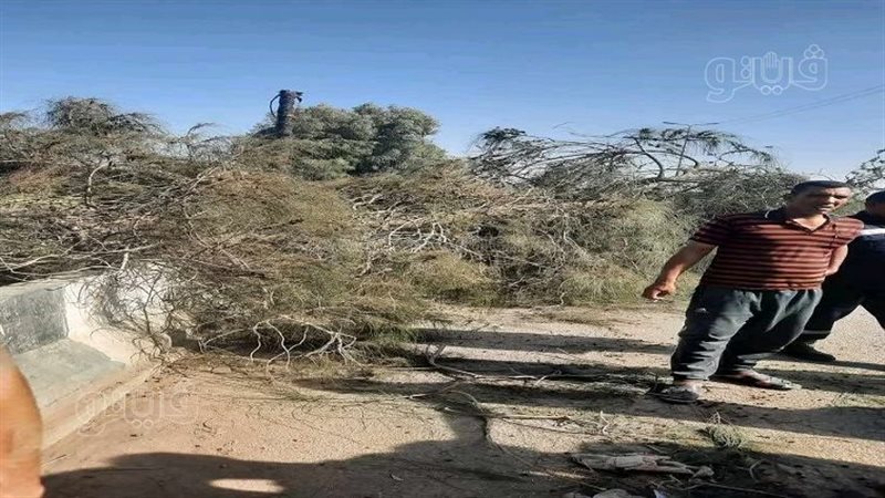 مكان الحادث، فيتو