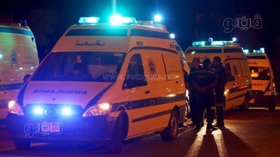 شاب يطعن والدته بسبب 250 جنيها في الدقهلية