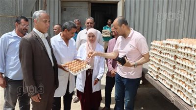 محافظ بني سويف يتابع مشروعات الدواجن لتخفيف الأعباء عن المواطنين