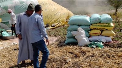 محافظ الشرقية: انتظام توريد القمح للشون والصوامع 