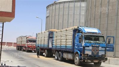 توريد 475 ألف طن قمح لصوامع الوادي الجديد (صور)