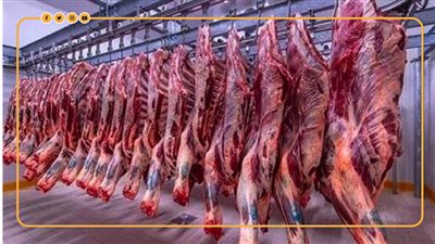 أخبار مصر اليوم.. الجمعة 6 يونيو أول أيام عيد الأضحى.. مفاجأة بشأن العامل صاحب فيديو التعنيف من مسئول سعودي