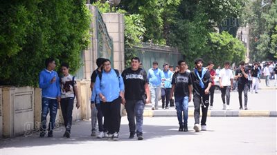 مواد الصف الثاني الثانوي وفقًا لنظام البكالوريا المصرية (إنفوجراف)